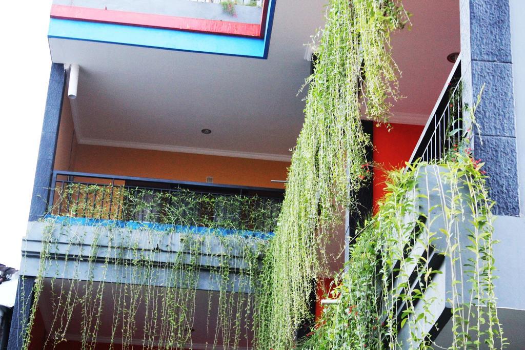 Guest house Rena Segara House 2*